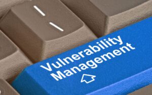 Canvasing Network Vulnerabilities for Public Engagement Platforms