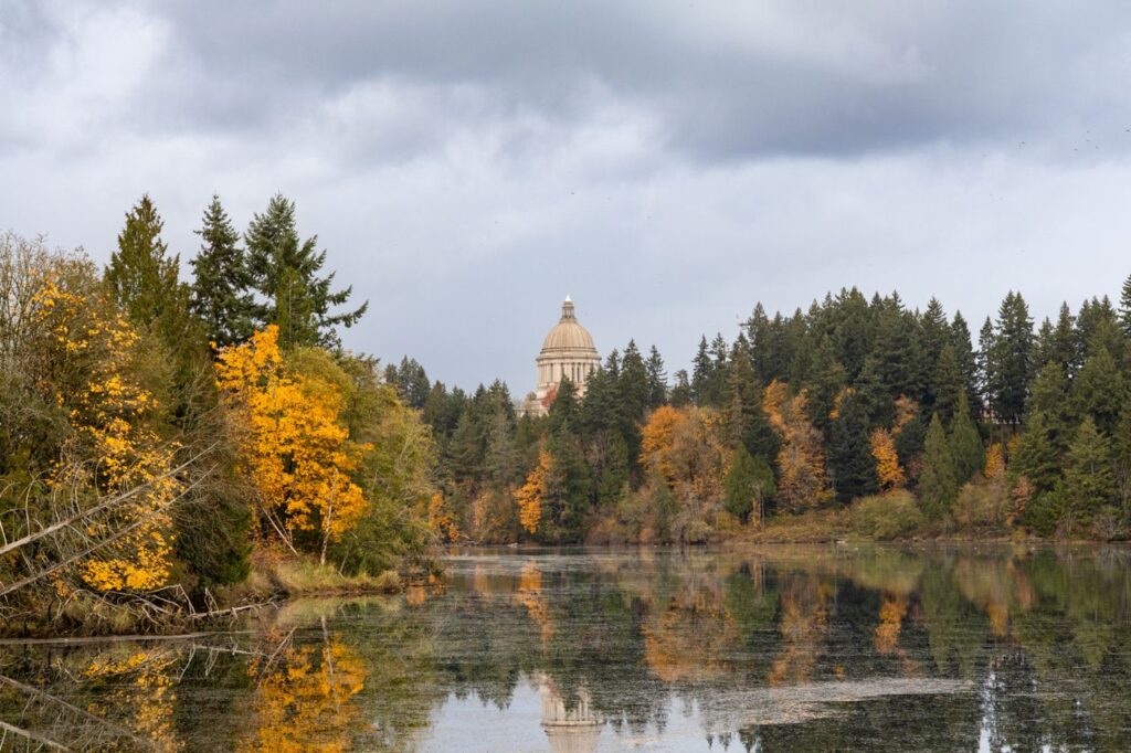The Washington State Capitol in Olympia, where, among gloomy clouds, is a lofty dome. Its reflection peeks through the murky waters of an autumnal swamp, awaiting the day more public engagement software enters more agencies